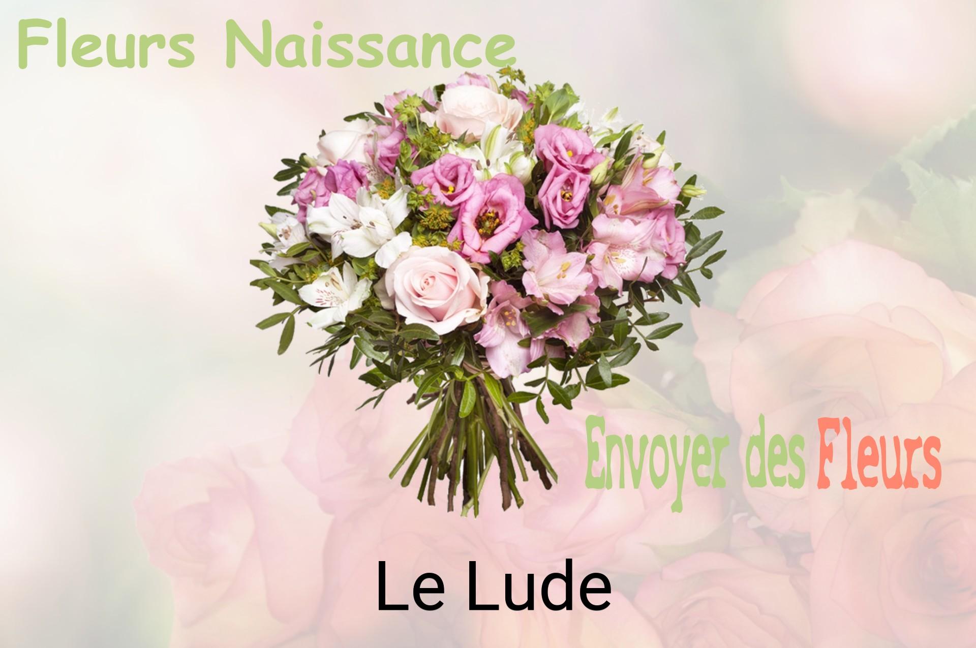 Bouquet de fleurs de naissance livré à Le Lude